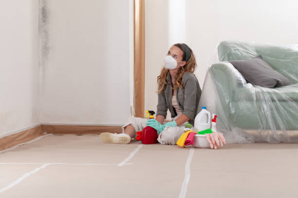 Reliable Mold Testing contractor in Ada, MI by WQB Mold Removal